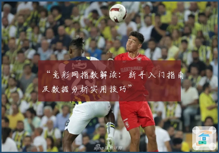 “竞彩网指数解读：新手入门指南及数据分析实用技巧”