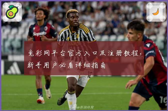 竞彩网平台官方入口及注册教程，新手用户必看详细指南