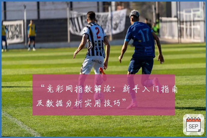 “竞彩网指数解读:新手入门指南及数据分析实用技巧”