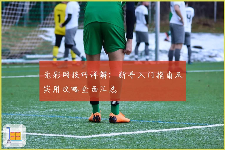 竞彩网技巧详解：新手入门指南及实用攻略全面汇总