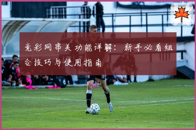 竞彩网串关功能详解：新手必看组合技巧与使用指南